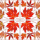 Illustration for article titled Shooting Challenge Fall Leaves Gallery 9